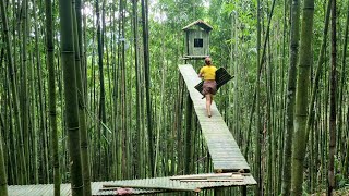 Girl building a tent on top of a bamboo tree- Wild Girl