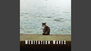 Oceanic Bliss for Chill Kitties