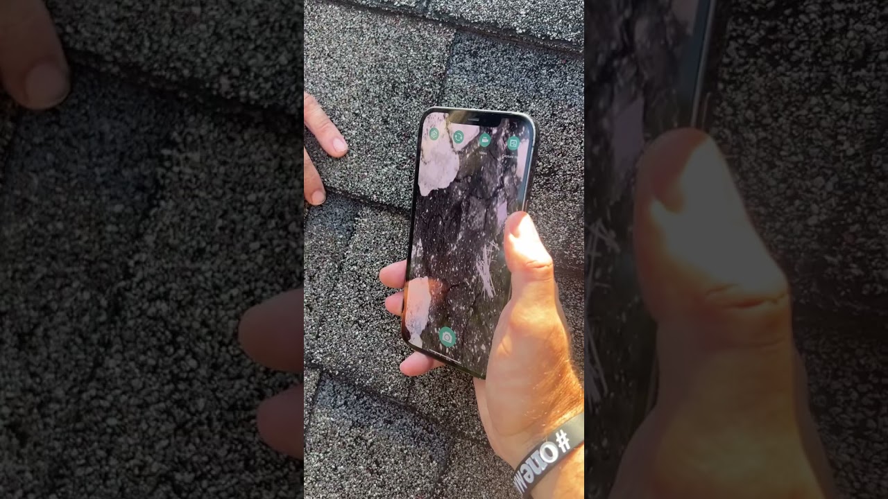 Jenny CAI Microscope- damaged matting