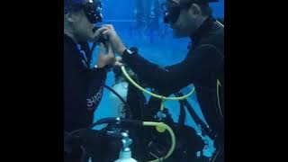 Dive master stress test 2019