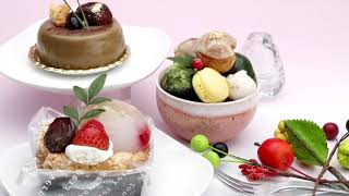 料理撮影照明専科ストロボセット　【撮影機材のライトグラフィカ】