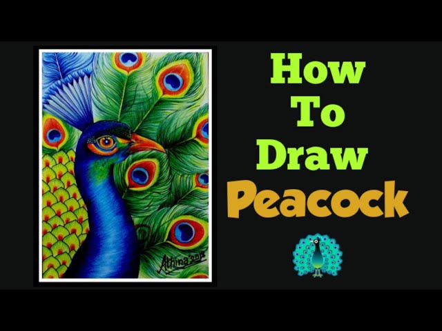 Drawing Peacock Bird using Metallic Color Pencil 