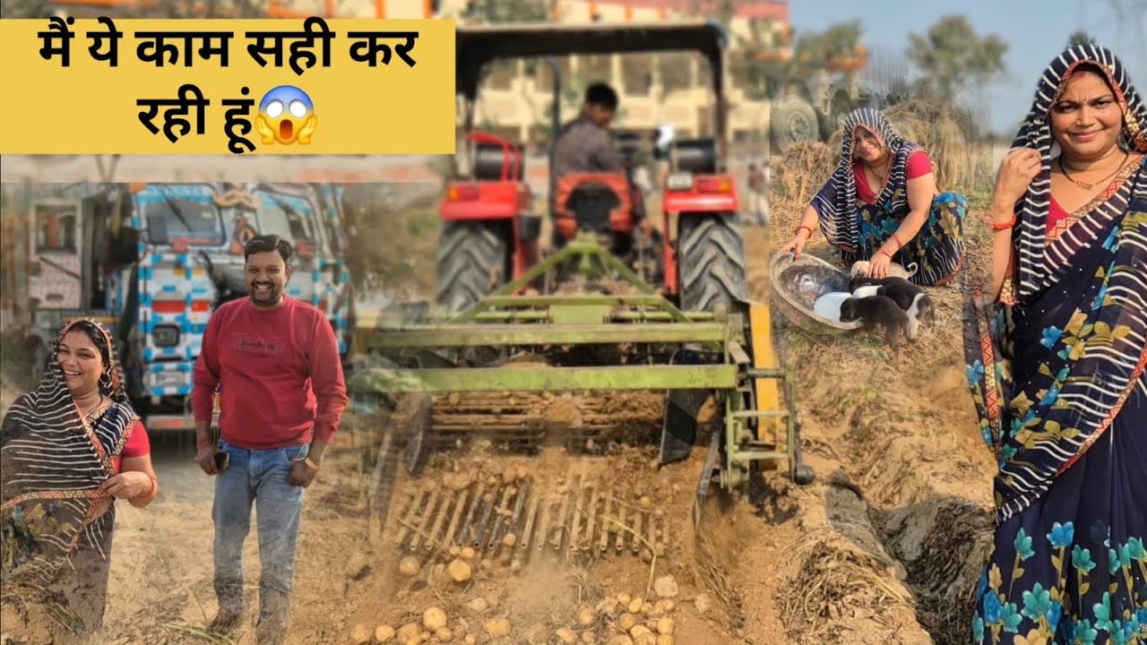 आज से आलू का काम चालू 🤓🤓🙏🙏aaj se aalu ka kam chalu❤️❤️❤️🥰💫