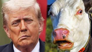 Trump’s new plan has ONE hilarious problem