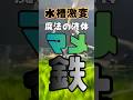 【コケの原因】あなたの水槽も不足してるかも!アクアリウムの困りごと解決!#shorts #アクアリウム #水槽台#aquarium #aquascape #熱帯魚