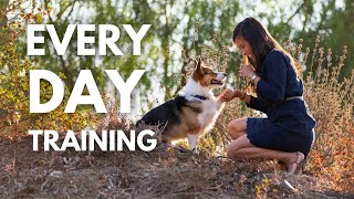 Easy Dog Training Exercises You Should Do EVERY DAY at Home!