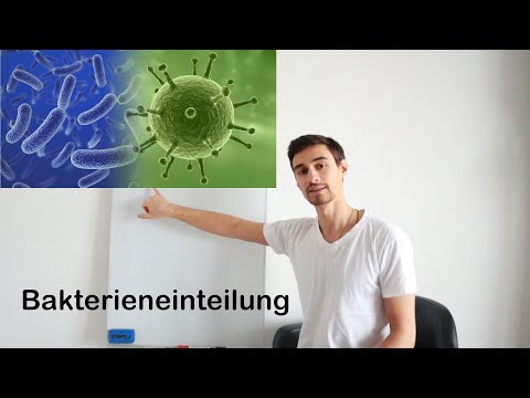 Video: Was bedeutet Morphologie von Bakterien?