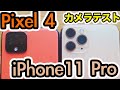 Pixel 4 と iPhone11 Pro カメラテスト(昼間、夜間あります。)