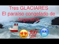 EL CALAFATE y Los GLACIARES (P. Moreno, Upsala y Spegazzini)