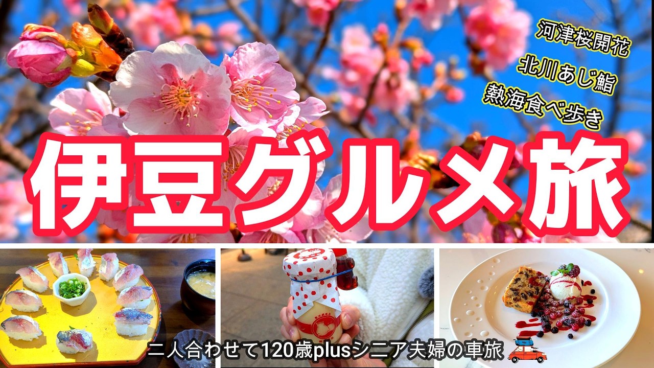 【伊豆 熱海・熱川 】 絶品グルメを食べまくる！ あじ鮨 / 金目鯛 /桜たいやき / 絶景すぎるカフェを満喫
