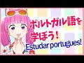 【STUDY】Vtuberがポルトガル語を淡々と学ぶ配信 #duolingo #Vtuber