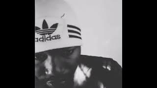 ReapRSA-Song About Everything