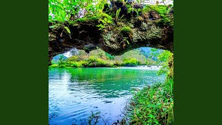 Serene Flow Harmony Tranquility