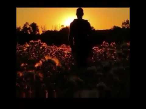 خبر فوری خور شید از مغرب طلوع خواهد کرد یک بار گوش کن