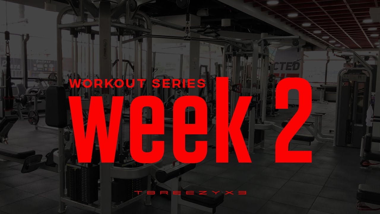 WEEK 2 UPDATE: BEAST MODE ACTIVATED