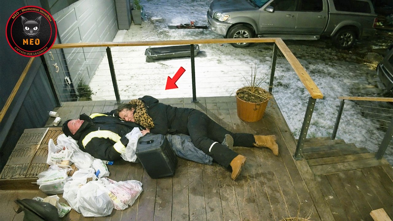 Los errores más estúpidos captados en cámara #38