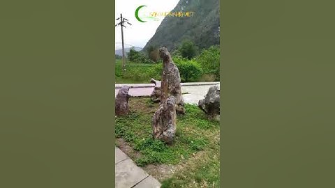 Hòn non bộ ngũ hành sơn