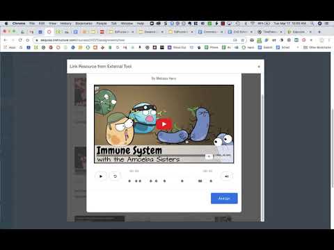 Edpuzzle External Tool in Canvas