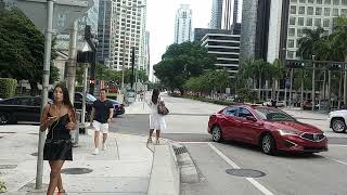 Miami Live Brickell The Capital Of OnlyFans And Sugar Daddy #1233