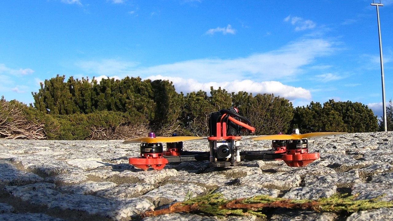 Wiosna - drony budzą sie do życia