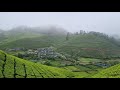 Munnar Top station l Places to visit in summer l #Travel #kerala #munnar #topstation #Hill station