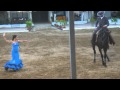 Spanish Lady dancing with Andalusian Horse show