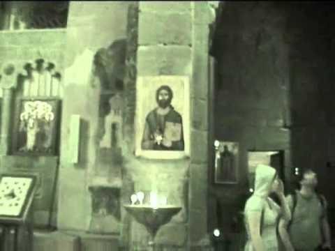 გადავარჩინოთ სვეტიცხიოველი.