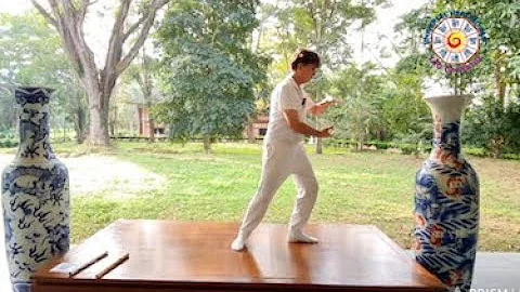 TAO GARDEN 997th MORNING Qigong Challenge...ARE YO...