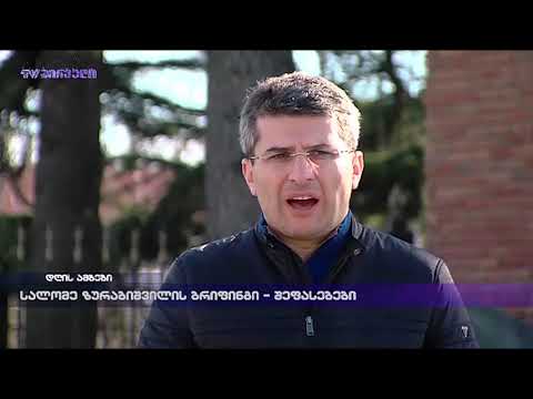 სალომე ზურაბიშვილის ბრიფინგი - შეფასებები