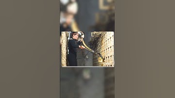 Kinh hãi, làng rắn độc lớn nhất Việt Nam | Nuôi rắn kiếm tiền, đánh đổi cả tính mạng!