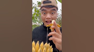 Chữa mụn trong rừng chỉ bằng vỏ chuối | Mẹo sinh tồn