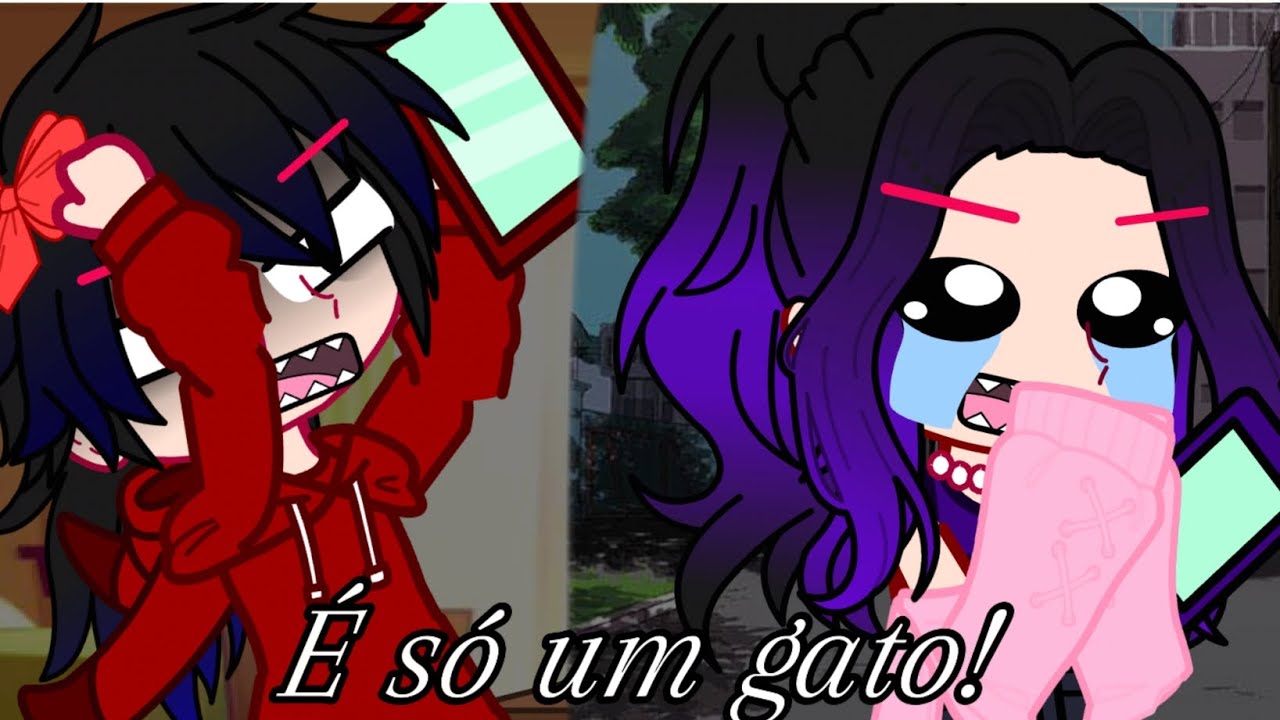 •||O Gato||•       //Olhem a descrição//