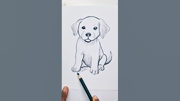 How to Draw a Realistic Dog | Pencil Drawing for Beginners #bulun