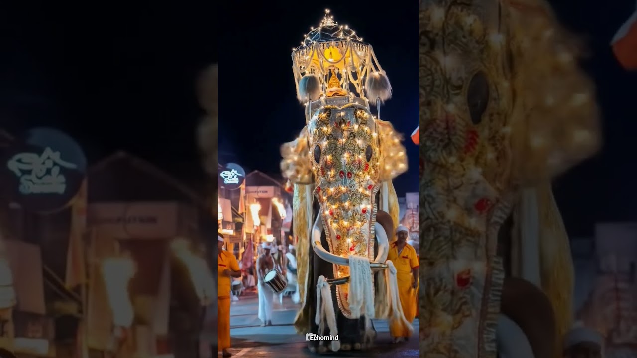 Nuwara Perahera 2025  🐘 