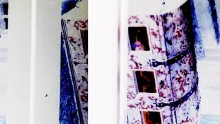 The Green Child - Double Lines [OFFICIAL VIDEO]