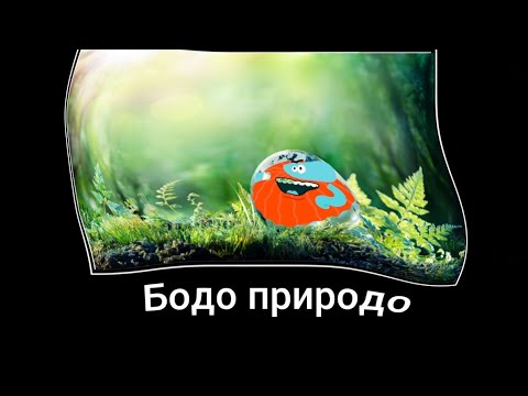 Бодо бородо + ШИЗА =