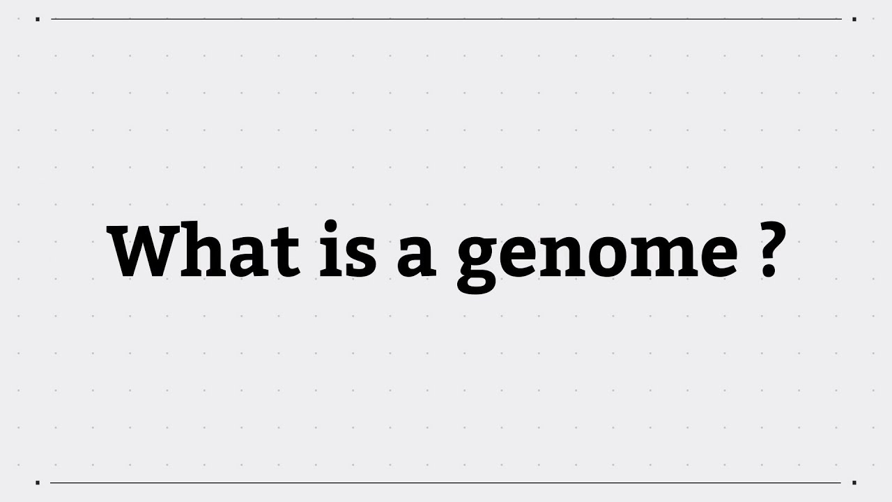 Diverse about inferences, are belong and specificity types at whichever to least hourly capacity is down