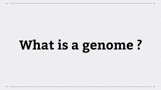 What is a genome?
