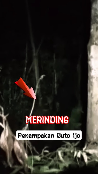 VIDEO PENAMPAKAN HANTU BUTO IJO