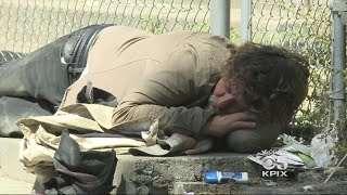 San Jose Neighbors Push Back Against Tiny Homes For The Homeless