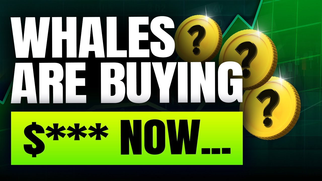 Why are Crypto whales aggressively buying this....