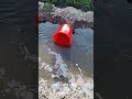 🪣 The bucket did ALL the work! 😂 #farmhacks #satisfying