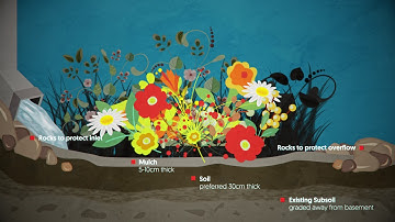 Rain Gardens Explained in 2 minutes