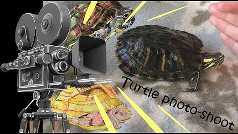 How I make images transparent with Firealpaca & my art