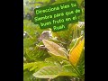 PARASHÁH: SEMBRANDO PARA EL  RUAH #PR.GUIOVANNYSANCHEZ