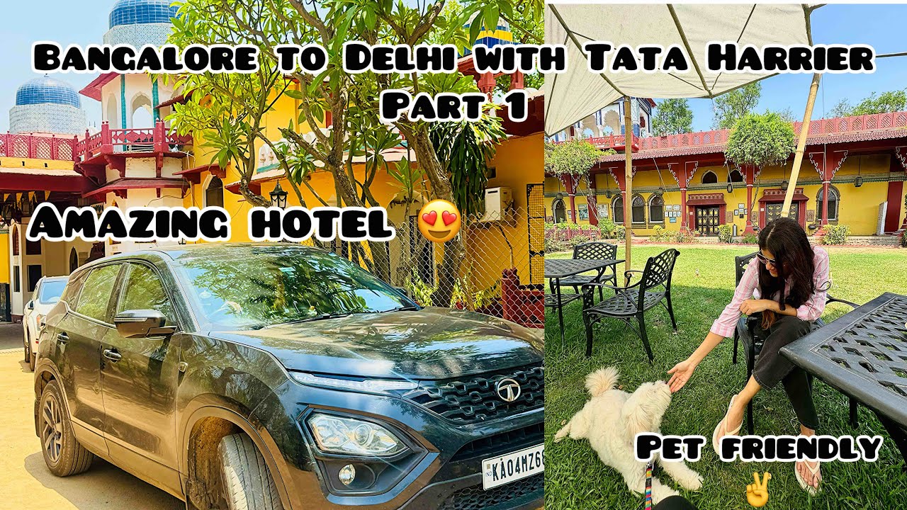 Bangalore to Delhi Road Trip with Tata Harrier Part 1 | Pet friendly hotel  