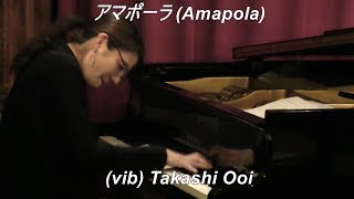 Amapola】 / Joseph LaCalle Bossa Nova Vibraphone (ビブラフォン
