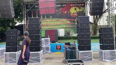 LA-110 single 10-inch line array.
