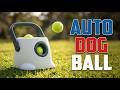 TOP 5 Best Automatic Dog Ball Launcher 2026