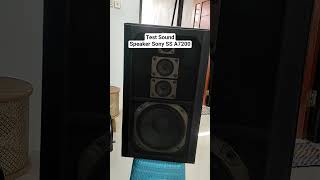 Test Sound Speaker Sony SS A #retro 7200